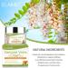 Varicose Vein Cream for Legs - Enhance Blood Circulation Reduce Spider Veins & Relieve Heavy Legs | Buy Now - Buy Online on GoSupps.com