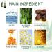 Sunscreen SPF 50+ Aloe Vera Sun Cream Hydrating Face&Body Sun Protection Sun Cream Against UVA UVB Sun Protects Against Sun Exposure Face& Body Waterproof Moisturizing Aloe Soothing Sun Cream PA+++ - Buy Online on GoSupps.com
