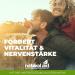Natural Aid Daily Vegan Vitamin B Complex - 100% Vegan 120 Capsules with B12 D K2 & B2 | Laboratory Tested - Buy Online on GoSupps.com