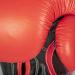 Paffen Sport Allround Eco Boxing Gloves - Red/Black 14oz for Training & Sparring in Boxing Kickboxing & Muay Thai - Buy Online on GoSupps.com