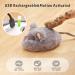 Pawthquake Interactive Cat Mouse Toy - Robotic Mice with Feather Wand & Electric Ball for Indoor Cats/Kittens | USB Rechargeable & Random Movement - Hunting Simulation - Buy Online on GoSupps.com