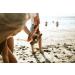 Sun Bum Browning Lotion 8.5 oz | Vegan & Reef Friendly Tanning Cream with Aloe Vera - Buy Online on GoSupps.com