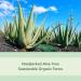 Organic Aloe Vera After Sun Gel - Sunburn Relief & Moisturizer - 98% Pure Vitamin B5 Enriched Non-Sticky Formula by Florida Glow - Buy Online on GoSupps.com