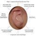 6 Pair Mack's Snoozers Silicone Putty Earplugs - Comfortable Moldable Ear Plugs for Sleeping, Snoring, Loud Noise & Travel - Buy Online on GoSupps.com