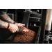 Golden Roasted Coffee Beans | Rich Arabica & Robusta Fusion | Siesta Coffee | 250g Bag Whole Bean Coffee 1 x 250g Bag - Buy Online on GoSupps.com