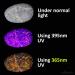uvBeast New V3 365nm Mini Black Light UV Flashlight | High Definition Ultraviolet Professional Grade LED | USA Stock - Buy Online on GoSupps.com
