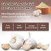 Poudre d Ail 100g (Garlic Powder) | Ail Moulu | Moulu partir de bulbes s ch s entiers | Poudre d pices | V gan & Sans Gluten | 100% Naturel | Qualit Premium | Sans Additifs - Buy Online on GoSupps.com