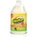 OdoBan Disinfectant Concentrate and Odor Eliminator 1 Gallon Citrus Scent