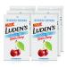 Luden's Deliciously Soothing Throat Drops, Sugar-Free Wild Cherry Flavor, 25 CT, 6 Pack 25 Count (Pack of 1) Sugar Free Wild Cherry