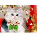 3 PCS - Cat Santa Hat with Jingle Bells Collar & Bow Tie Christmas Costume Set - Adjustable Xmas Outfit for Pets - Buy Online on GoSupps.com