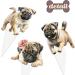 Pug Dog Cupcake Toppers Pug Birthday Decorations 48Pcs Pug Dog Party Decorations Pug Cupcake Picks Dog Theme Party Decoration for Playful Pugs Puppy Baby Shower Supplies - Buy Online on GoSupps.com