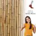 Cosyfeel Women Loose Diabetic Socks | 4-Pack Neuropathy Ankle Socks for Ladies | Super Soft Eco-Friendly Bamboo Material | Durable with Seamless Toe | Multicolour Patterns | 4 Seasons 7-9 1/2 BOMBAY BROWN - Buy Online on GoSupps.com