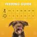 Pet Munchies Chicken Strips Dog Treats Value Pack Dog Chews with Natural Real Meat Low in Fat and High in Protein 320 g (Pack of 1) Clear Chicken Strips 1 count (Pack of 1) - Buy Online on GoSupps.com