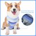 Recovery Suit for Cats and Dogs | Abdominal Wound Protection | Post-Surgery Bodysuit | Anti-Licking Cone Alternative | Large Blue Stripe - Buy Online on GoSupps.com