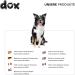 Buy DDOXX 2m Air Mesh Dog Leash for Small & Large Dogs | Double Leash for Two Dogs | Ideal Tug & Running Line | XS Blue | Ship Internationally - Buy Online on GoSupps.com