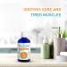 Organic Massage Oil with 3 Organic Vegetable Oils | Puressentiel Unisex - 3.38 oz Shop Internationally - Buy Online on GoSupps.com