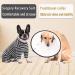 Axcimond Dog Recovery Suit | Long Sleeve Surgical Pet Shirt for Male/Female Dogs | Size L Grey - Buy Online on GoSupps.com