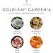 Thymes Goldleaf Gardenia Bubble Bath - 11.5 Fl Oz | Luxurious Spa Experience - Buy Online on GoSupps.com