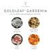 Thymes Goldleaf Gardenia Eau de Parfum (1.75 fl oz) Goldleaf Gardenia 0.29 Fl Oz (Pack of 6) - Buy Online on GoSupps.com