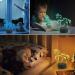 Coopark Nachlichter 3D Horse Illusion Bedside Lamp | 16 Color Remote Control | Best Gifts for Children & Baby Boys | Unique Birthday Presents - Buy Online on GoSupps.com