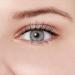 KISS My Lash But Better Fake Eyelashes Multipack - 4-Pair Pack | Lightweight, Reusable, Contact Lens Friendly, Voluminous & Comfortable - 8 Total - Buy Online on GoSupps.com