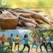 Morsan Healthcare Shatavari Capsules 500 mg | Asparagus Racemosus Extract | 60 Vegan Capsules |Pack of 4 | Natural Ayurvedic Herbal Supplement for Women | Plant-Based Formula for Daily Wellness - Buy Online on GoSupps.com