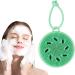 Face Exfoliator Brush | Super Soft Facial Cleansing Brush with Soft Bristles - Face Wash Scrub Exfoliator Brush Manual Handheld Face Skincare for Cleaning Frifer Green - Buy Online on GoSupps.com