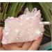 Natural Crystal Stone Cluster Beautiful Aura Angel Quartz Crystal Cluster yuebang JIZTGEDM - Buy Online on GoSupps.com