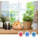 100% Pure Coconut Vanilla Essential Oil - 3.3oz for Candle Making Diffusers & Massage | Aromatherapy Bliss - Buy Online on GoSupps.com
