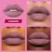 Lime Crime Velvetines Cashmere Liquid Matte Lipstick - Long-Lasting Velvety Matte, French Vanilla Scent - Vegan - Grey Beige - Buy Online on GoSupps.com