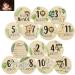 Baby Monthly Milestone Cards Sign Double Sided Wooden Newborn Sign Baby Birth Announcement Milestone Discs Year Growth Photography Newborn Milestone Baby Gift Sets for Newborn Boys and Girls 10cmX10cm (7pcs) 14pcs