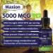 Maxion Vitamin B12 5000 mcg to Help Produce Red Blood Cells and Boost Energy Supports Cognitive Function Improved Memory and the Immune System Cherry Flavour 30ml - Buy Online on GoSupps.com