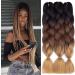 Fanyu 3packs ombre braiding hair extensions kanecalon jumbo braiding hair extensions 24 inch braiding hair synthetic hair for crochet twist (black-dark brown-bright brown) 24 inch (pack of 3) db-C14