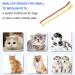 10pcs Dog Toothbrush DKDDSSS Long Handle Double Head Dog Toothbrushes Cat Teeth Cleaning Toothbrush for Pet Dogs Cats Puppy Dental Care Toothbrush - Buy Online on GoSupps.com