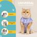Avont Katzenbody: Recovery Suit for Cats - Post-Op Castration & Spay Leak Protection for Abdominal Wounds - Medium Lilac - Buy Online on GoSupps.com