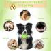Divinggoe Interactive Dog Kickball - 5.91'' Yellow Pet Training Toy | Durable Dog Toys for All Breeds - Shop Internationally! - Buy Online on GoSupps.com