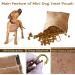 Deli-Libributel for Dogs | Hand-Free Training Feed Bag with Carabiners | Automatic Closure | Brown Puppy Treats | Small Size - Perfect for Dog Training - Buy Online on GoSupps.com