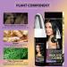Black Hair Dye with Comb Applicator - Permanent Color Shampoo for Gray Hair - 3 in 1 Instant Dye for Women & Men - Long-lasting Results - Buy Online on GoSupps.com