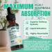 Methylene Blue Drops for Humans Pharmaceutical Grade, 11-in-1 Brain Formula w. Vitamin C Ester, Cacao & Phosphatidylserine, Support Cognitive, Memory & Focus, Third Party Tested, Formaldehyde-Free Lemon 2 Fl Oz (Pack of 1) - Buy Online on GoSupps.com