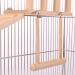 Bird Perches Cage Toys Play Gyms Stands with Climbing Ladder & Swing for Green Cheeks, Lovebirds, Chinchillas - Bird Cage Chewing Toys Set - Buy Online on GoSupps.com