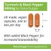 NaturPlus Turmeric Capsules high Strength with Black Pepper 600mg 365 Capsules**G - Buy Online on GoSupps.com