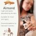 Buy Sensoli Almond Carrier Oil - Premium Quality Vegetable Oil for Skin & Hair - International Shipping Available - Buy Online on GoSupps.com