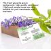 Handmade Soap Care Instructions - Feminine Soap Care Guide - 50 Pack - Buy Online on GoSupps.com