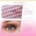Self Adhesive Eyelashes No Glue Natural Fake Lashes Wispy Individual Lashes DIY Manga Lashes Clusters Extension Mix 10-12-14MM Reusable False Eyelashes No Sticky Residue Self Application at Home - Buy Online on GoSupps.com