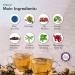 NEW ORGANIC Detox Tea 20 Tea Bags for Weight Loss 100% Natural Ingredients Vegan and Organic Ingredients Night Brew Fat Burner - Buy Online on GoSupps.com