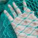 Bird Netting for Garden for Bird Poultry Aviary Safety Netting Heavy Duty Chicken Netting 1.6 Inch Square Mesh Size (Hole Distance : 4cm Hole Size : 1x1m/3.28x3.28ft) - Buy Online on GoSupps.com