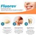 FLUOREV Temporary dental filling - Temporary dental repair (cavities fillings) and immediate pain relief - Ready to use easy to apply - With zinc oxide - 15 g - Buy Online on GoSupps.com