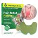Pain Relief Patches, Fast-Acting Heat Patches for Joint Pain Relief & Inflammation - Long Lasting Knee Pain Patch Paste, Warming Herbal Plaster Pain Patches 24 Piece Set