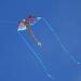 WindNSun Super Size 3D Blue Dragon Kite | 76 Wide Ripstop Nylon | Glass Eye Design - Buy Online on GoSupps.com