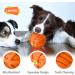 Laroo Squeaking Dog Ball - Interactive Natural Rubber Toy for Medium & Large Dogs - Durable 9cm Orange Football - Buy Online on GoSupps.com